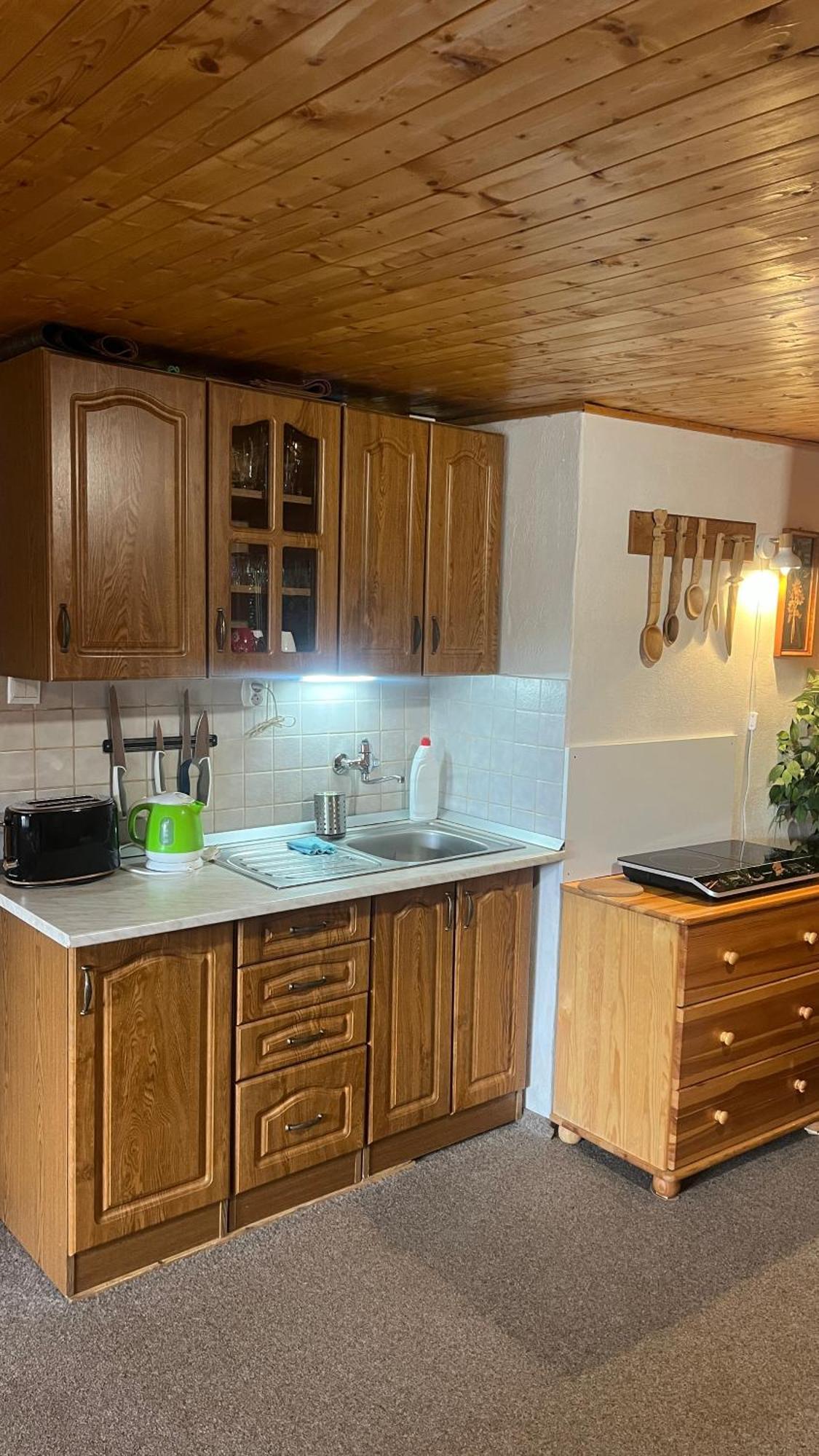 Drevenica U Porubaena Villa Jakubovany  Exterior foto